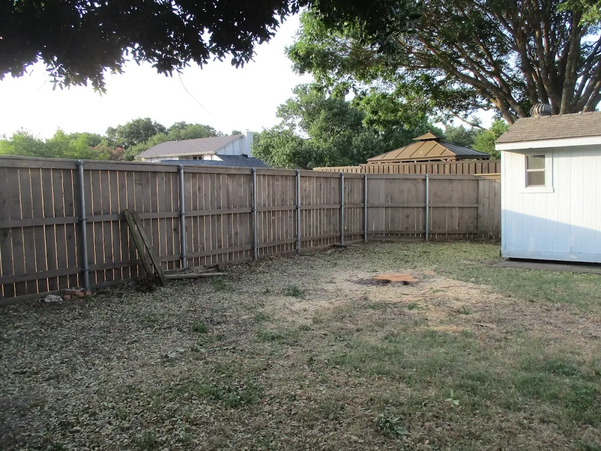 Cleared yard after professional tree removal in East Haven