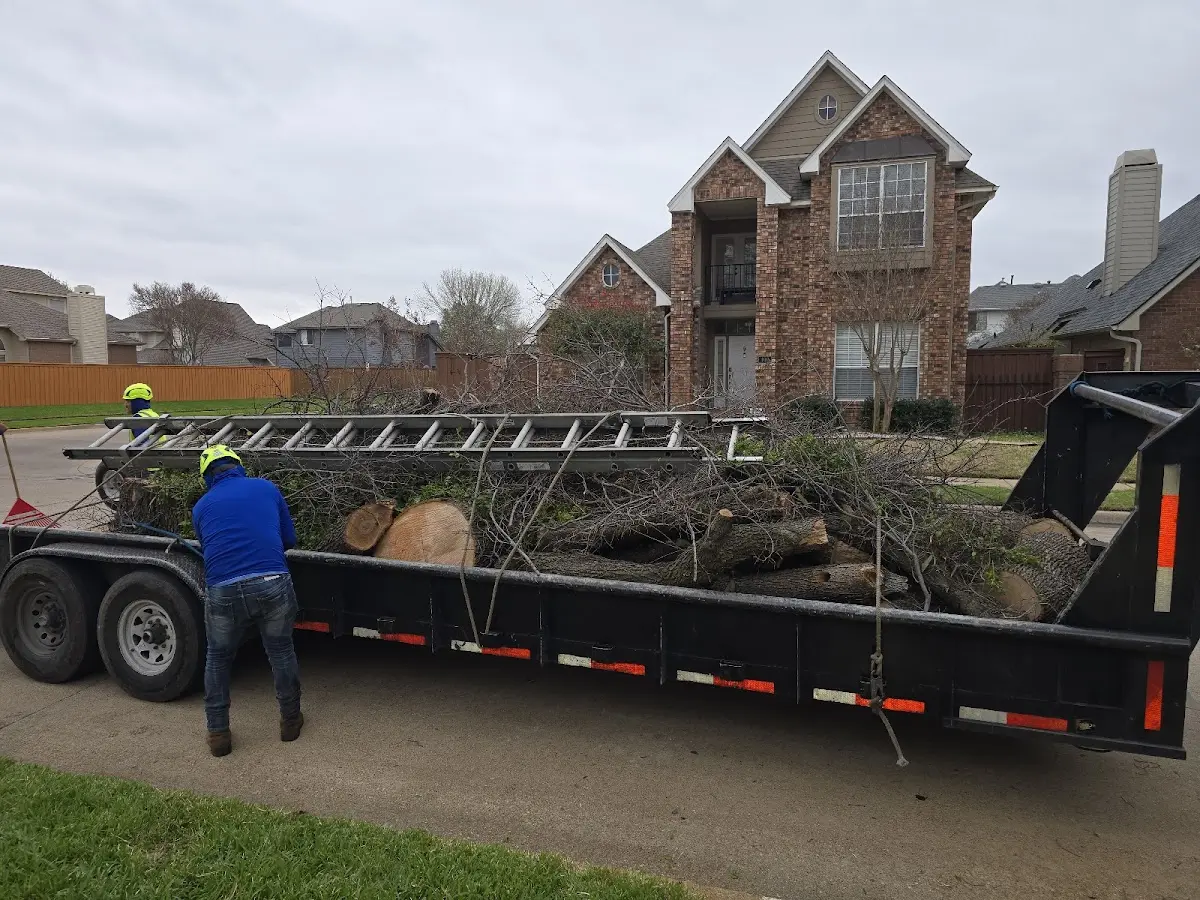 Expert Lot Clearing with proper safety equipment in East Haven